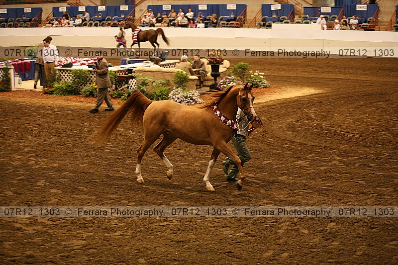 Proof 07r12_1303