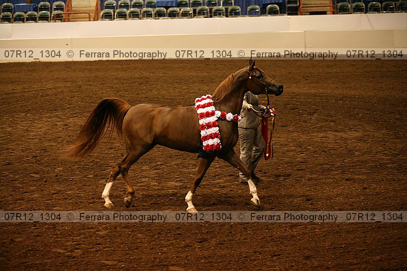 Proof 07r12_1304