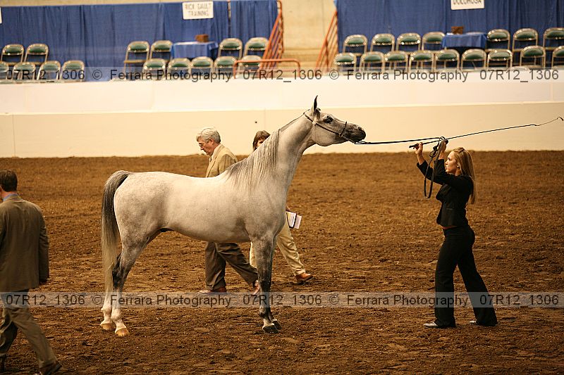 Proof 07r12_1306