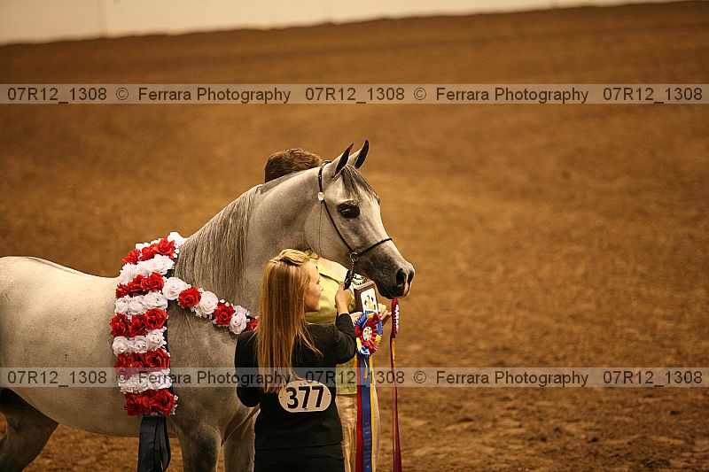 Proof 07r12_1308