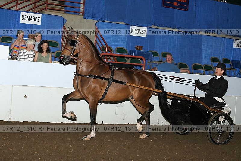 Proof 07r12_1310