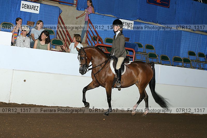 Proof 07r12_1317