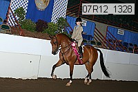07r12_1328 proof