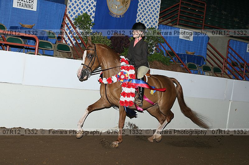 Proof 07r12_1332