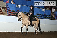 07r12_1372 proof