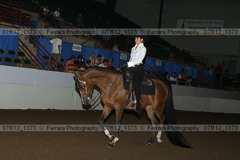 Proof 07r12_1373