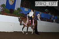 07r12_1377 proof