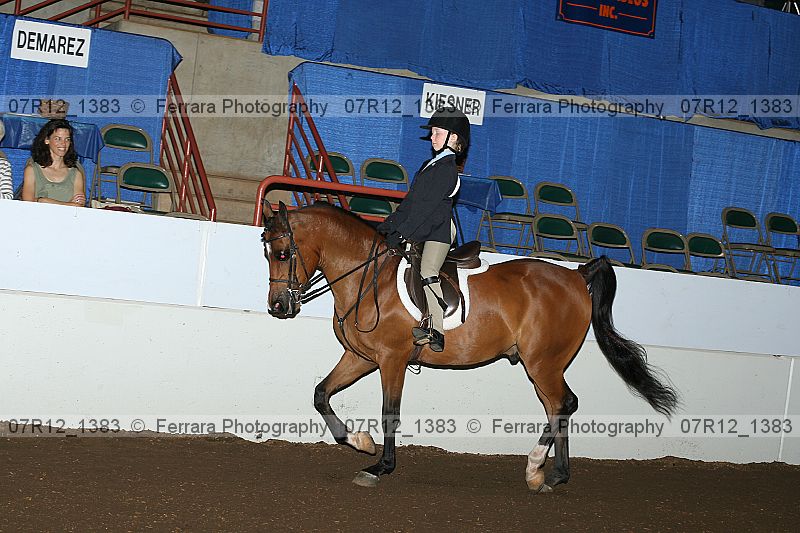 Proof 07r12_1383