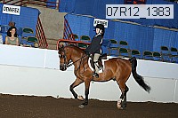 07r12_1383 proof