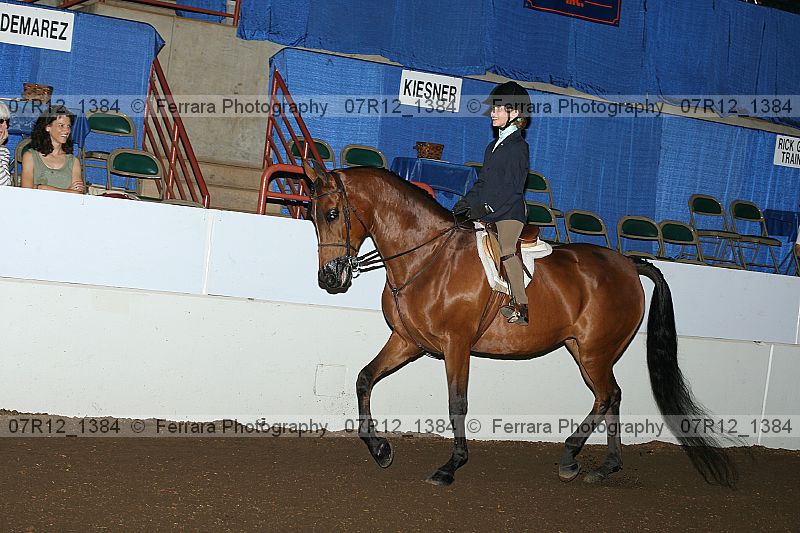 Proof 07r12_1384