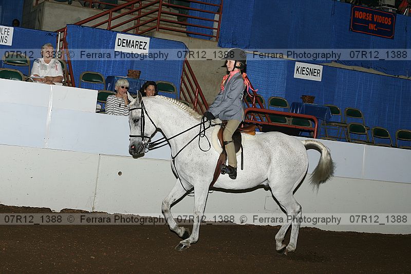Proof 07r12_1388