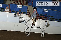 07r12_1388 proof