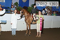 07r12_1393 proof