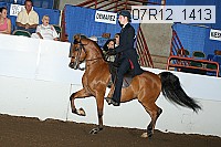 07r12_1413 proof