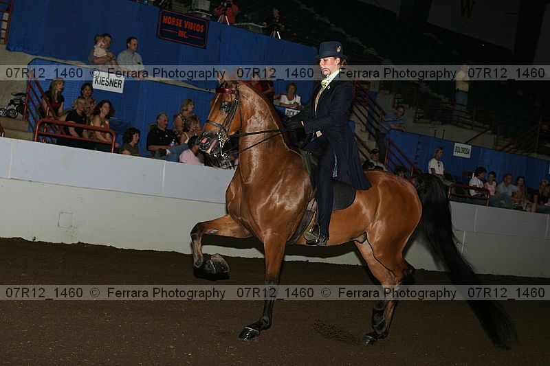 Proof 07r12_1460
