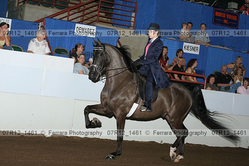 Proof 07r12_1461