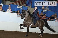 07r12_1461 proof