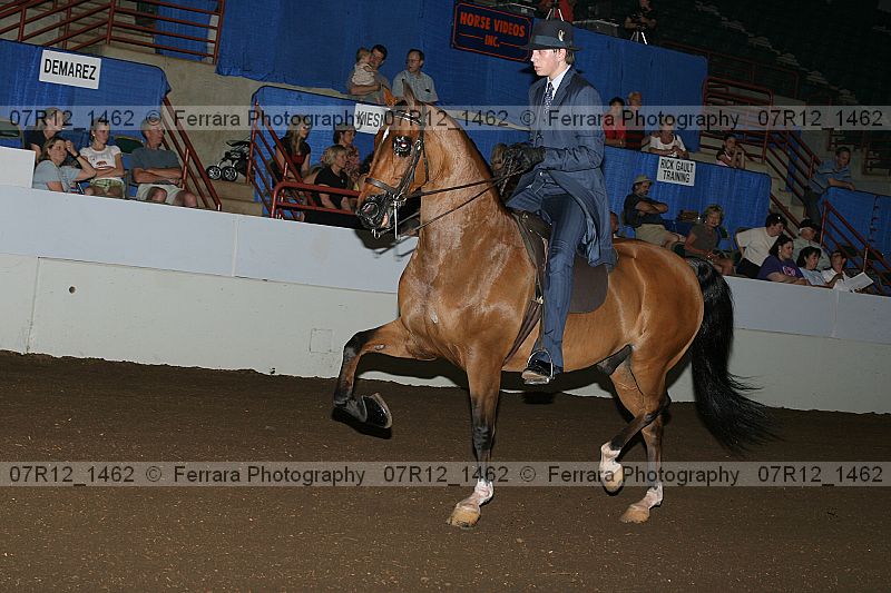 Proof 07r12_1462