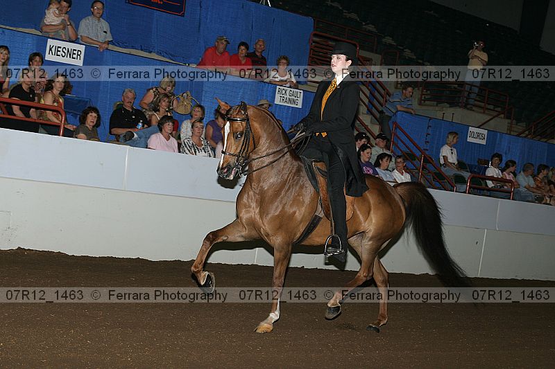 Proof 07r12_1463