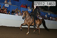 07r12_1463 proof