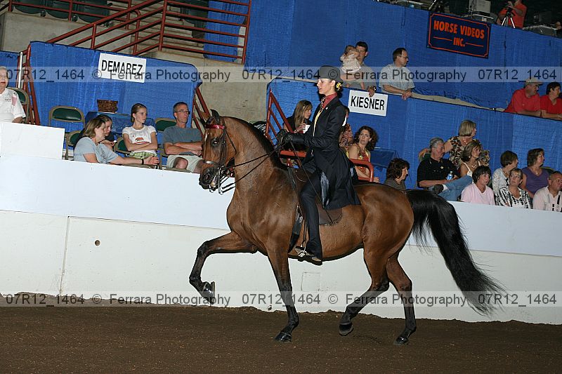 Proof 07r12_1464