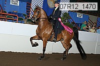 07r12_1470 proof