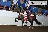 07r12_1472 proof