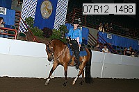 07r12_1488 proof