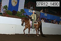 07r12_1490 proof