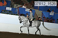 07r12_1528 proof