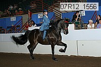 07r12_1556 proof
