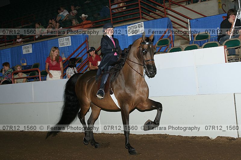 Proof 07r12_1560