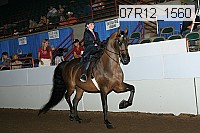 07r12_1560 proof
