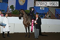 07r12_1563 proof
