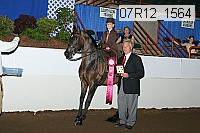 07r12_1564 proof