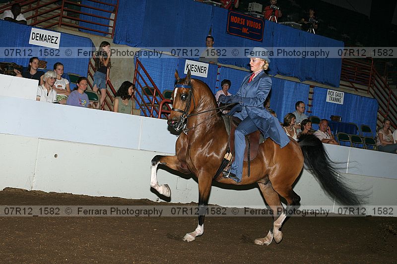 Proof 07r12_1582
