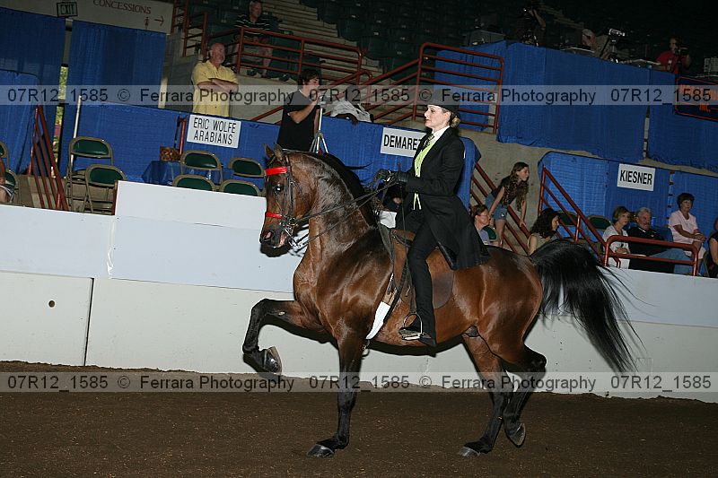 Proof 07r12_1585