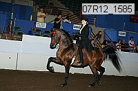07r12_1585 proof