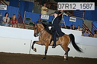 07r12_1587 proof