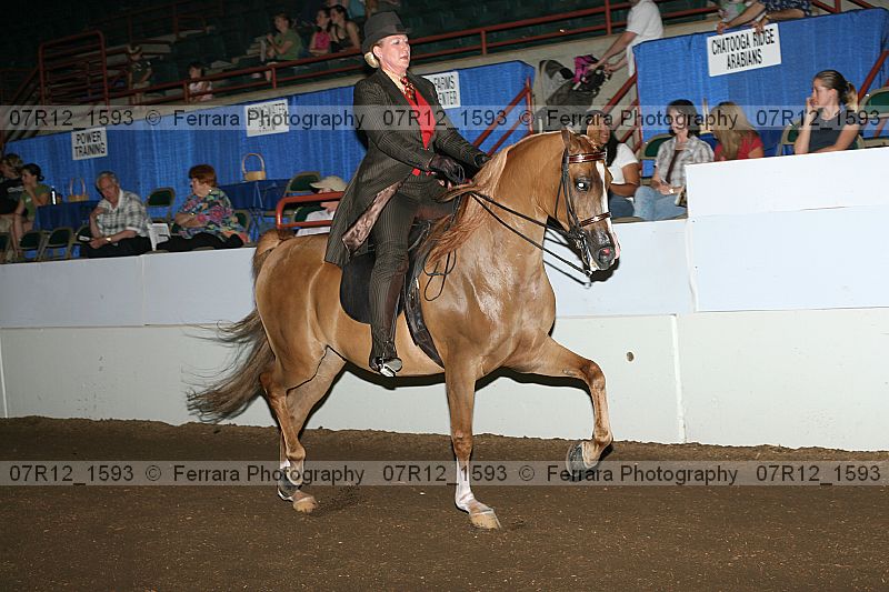 Proof 07r12_1593