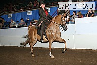 07r12_1593 proof
