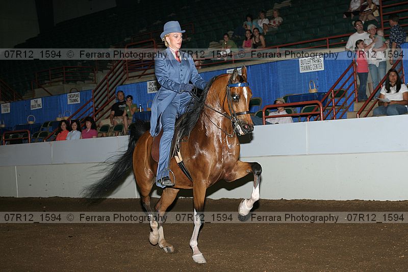 Proof 07r12_1594