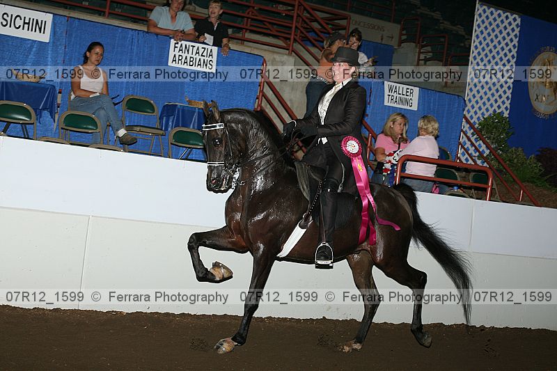 Proof 07r12_1599