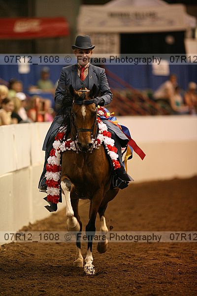 Proof 07r12_1608
