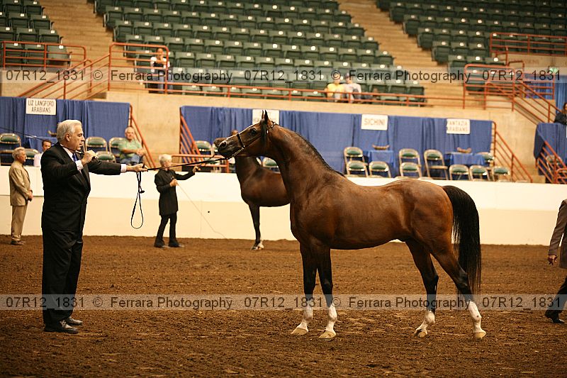 Proof 07r12_1831