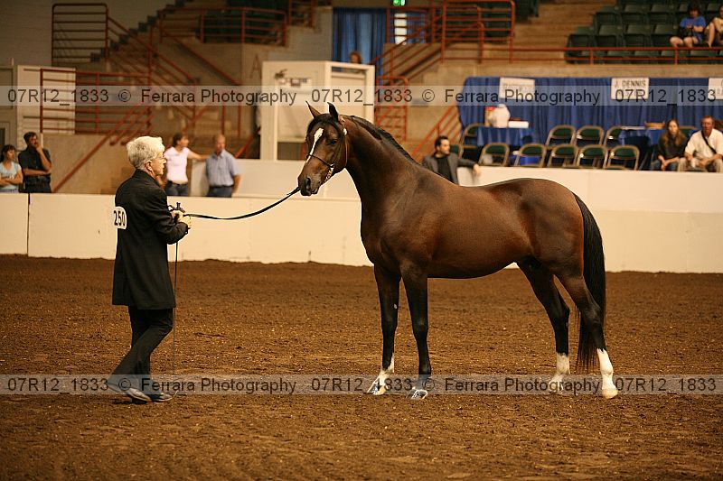 Proof 07r12_1833