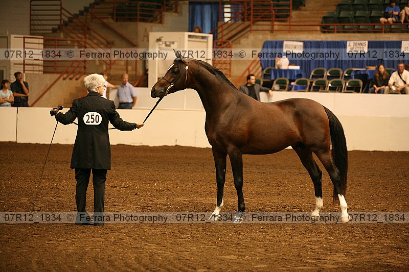 Proof 07r12_1834