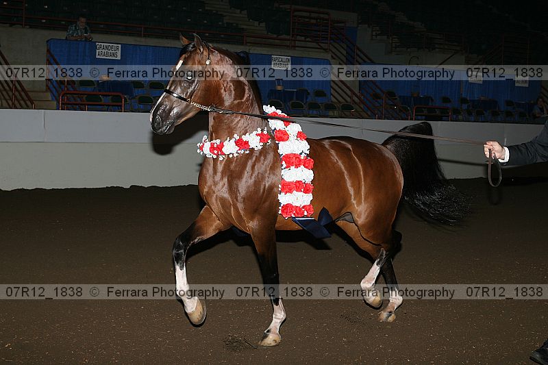 Proof 07r12_1838
