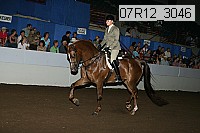07r12_3046 proof