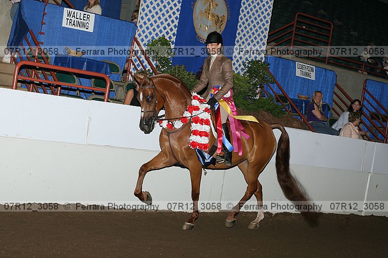 Proof 07r12_3058
